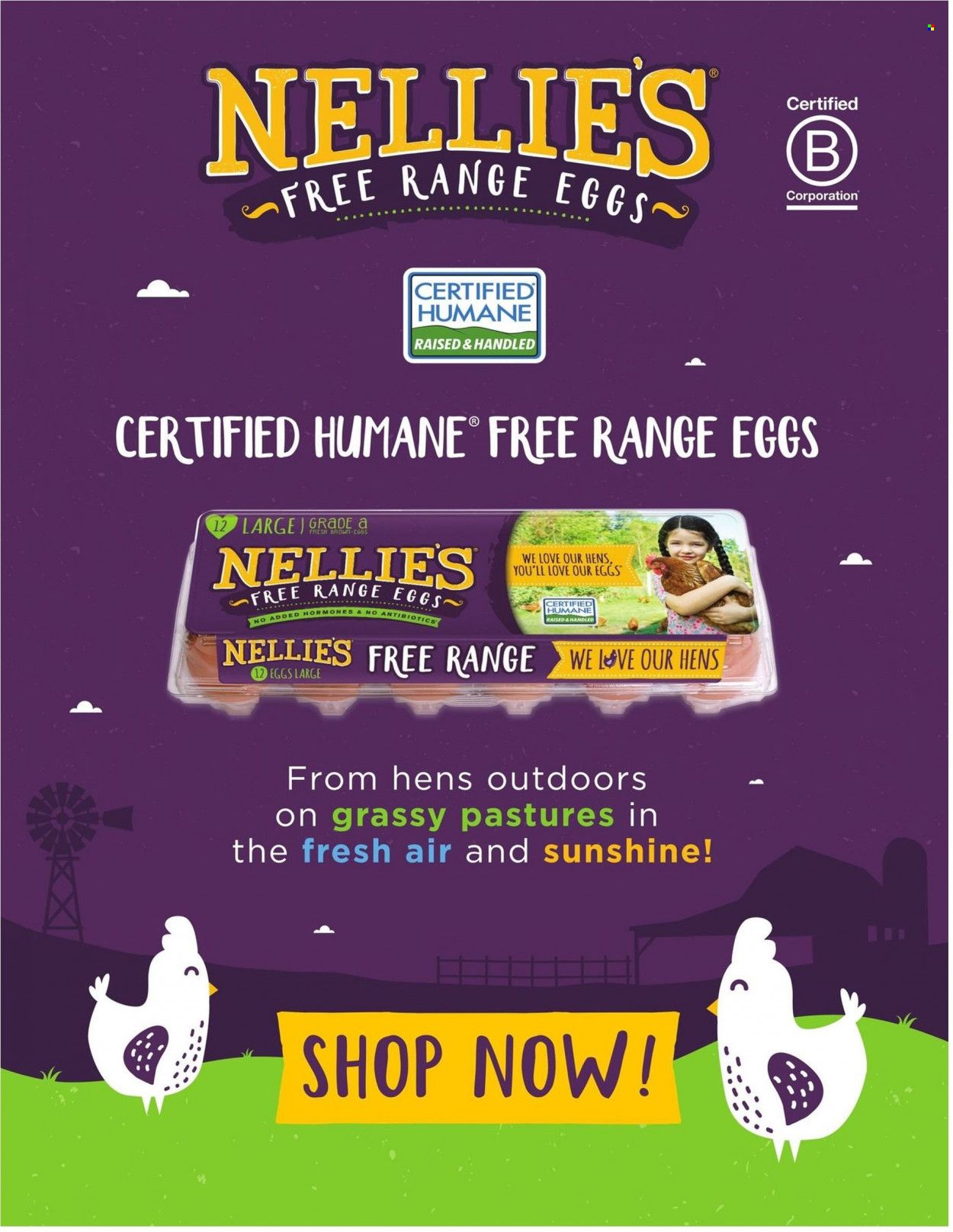 Cub Foods (MN) Weekly Ad Flyer February 19 to February 26