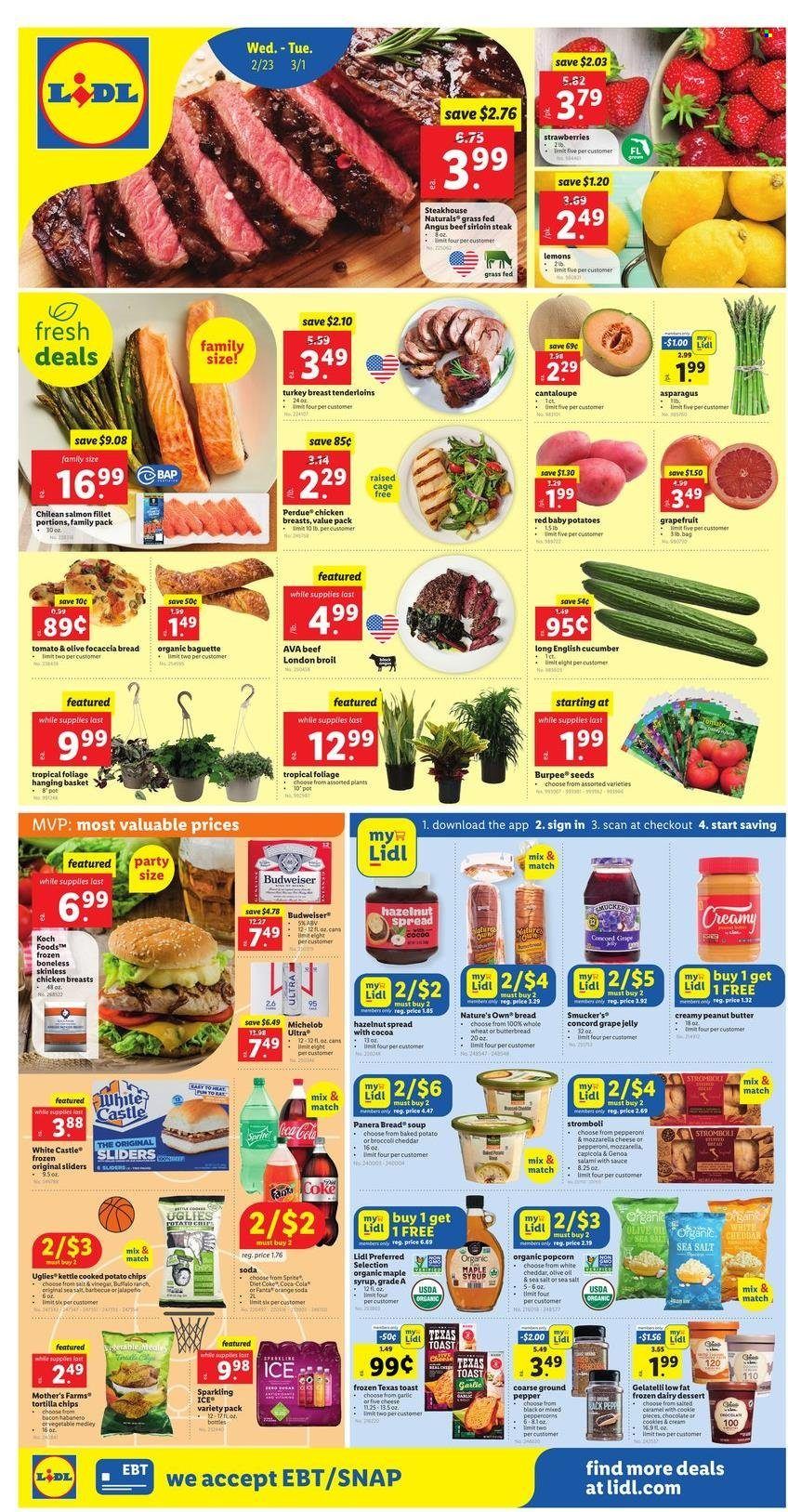 Lidl (GA, MD, NC, NJ, PA, SC, VA) Weekly Ad Flyer February 21 to February 28