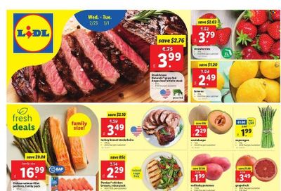 Lidl (GA, MD, NC, NJ, PA, SC, VA) Weekly Ad Flyer February 21 to February 28