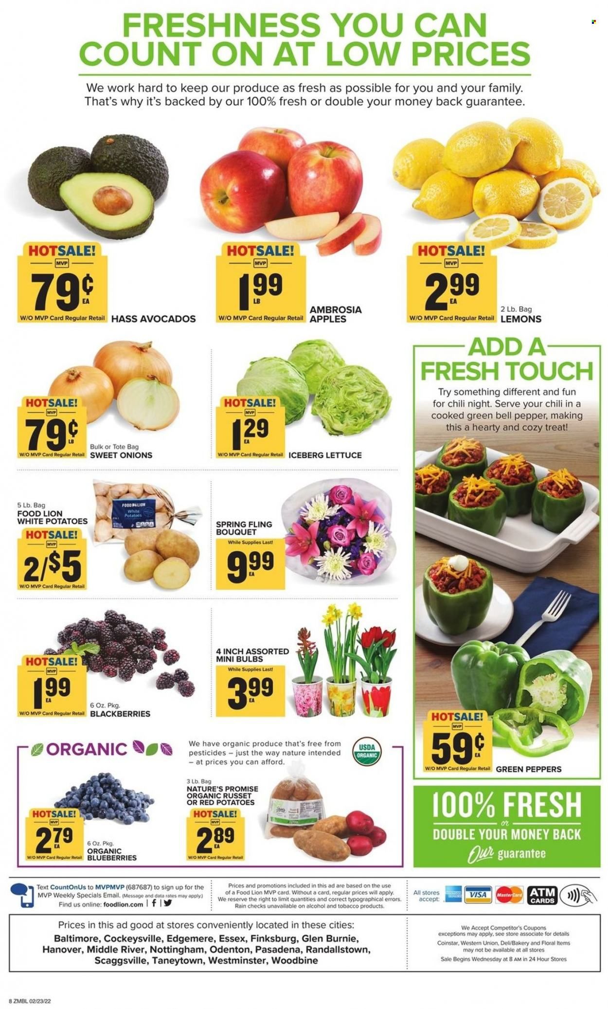 Food Lion (MD) Weekly Ad Flyer February 24 to March 3
