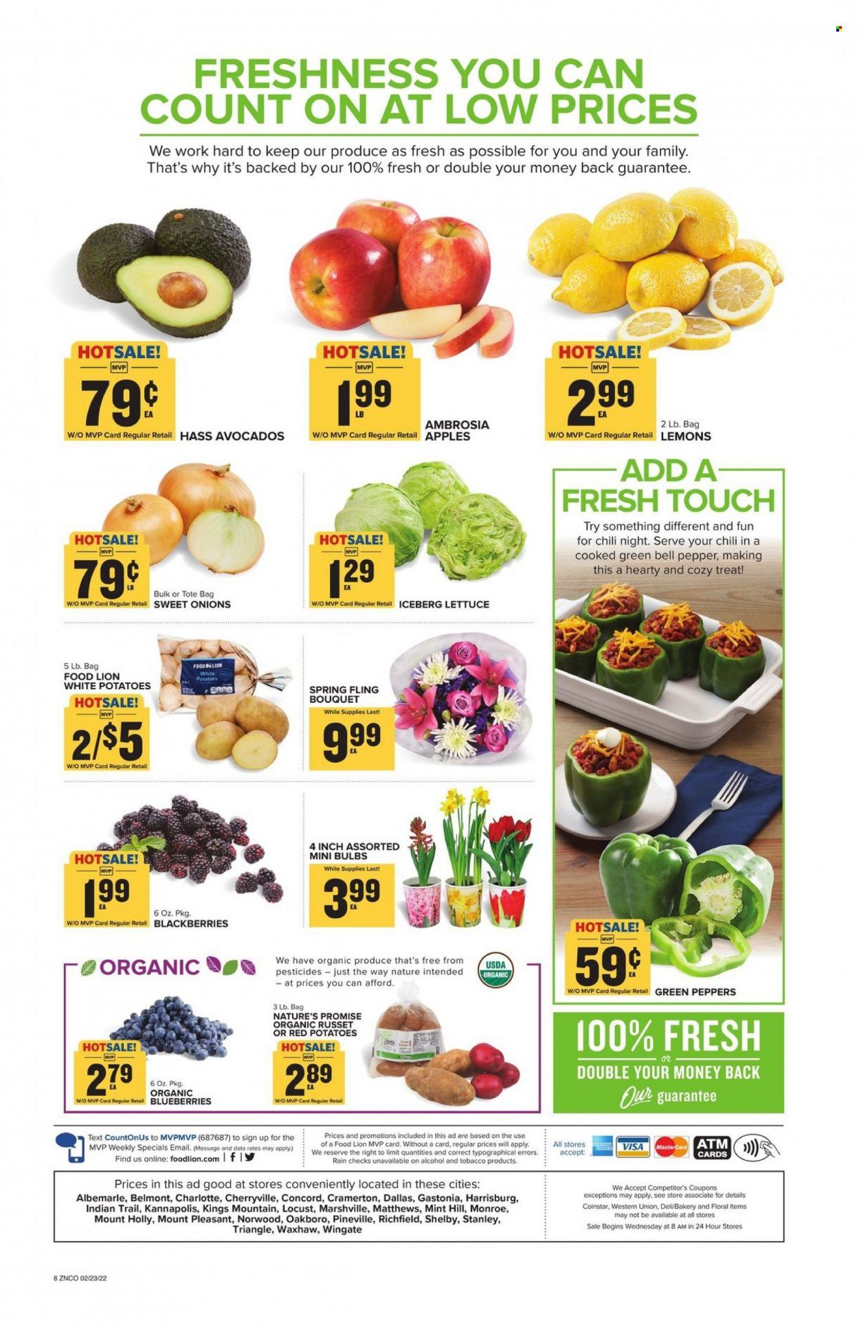 Food Lion (NC) Weekly Ad Flyer February 24 to March 3