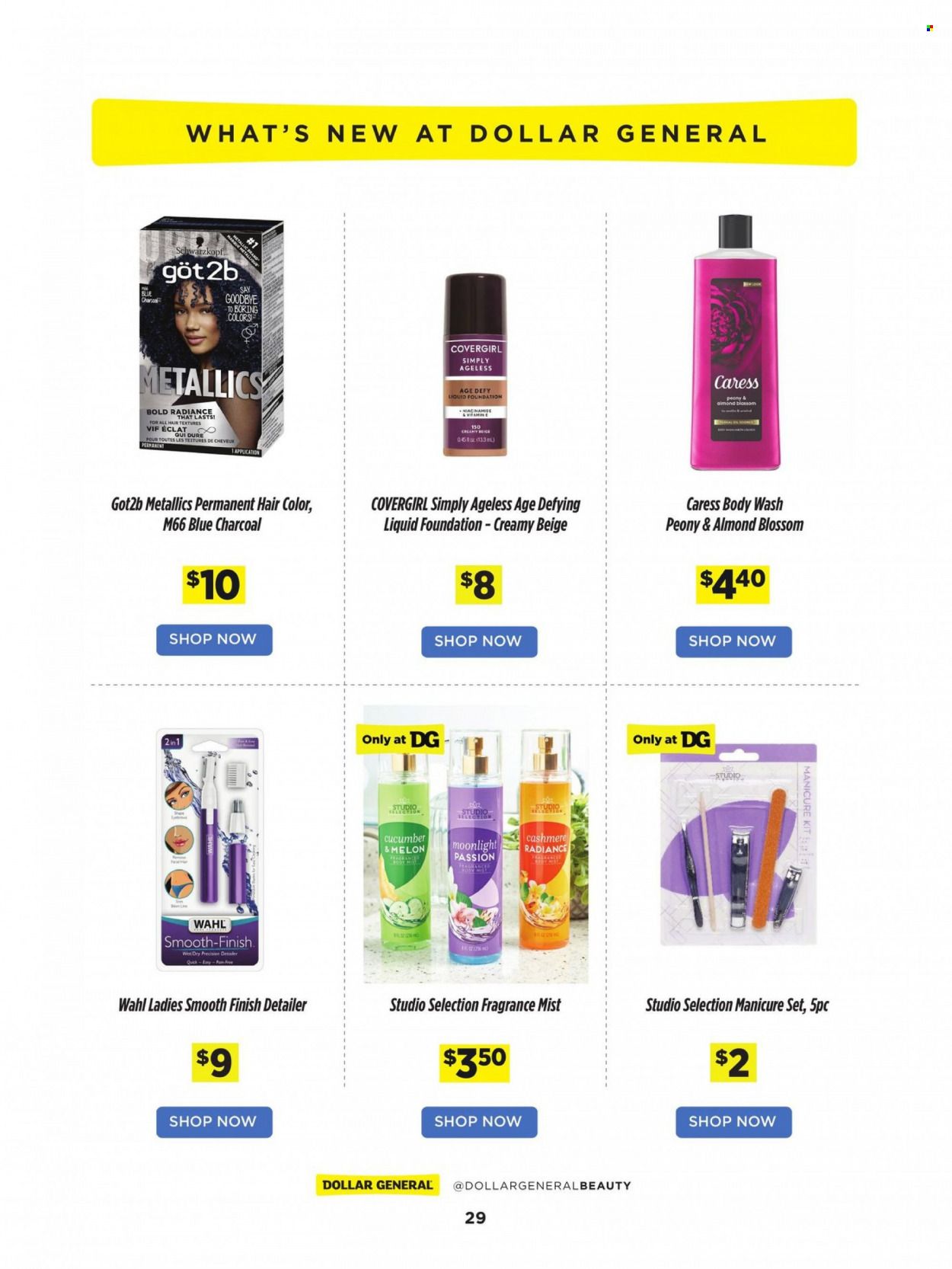 Dollar General Weekly Ad Flyer February 24 to March 3