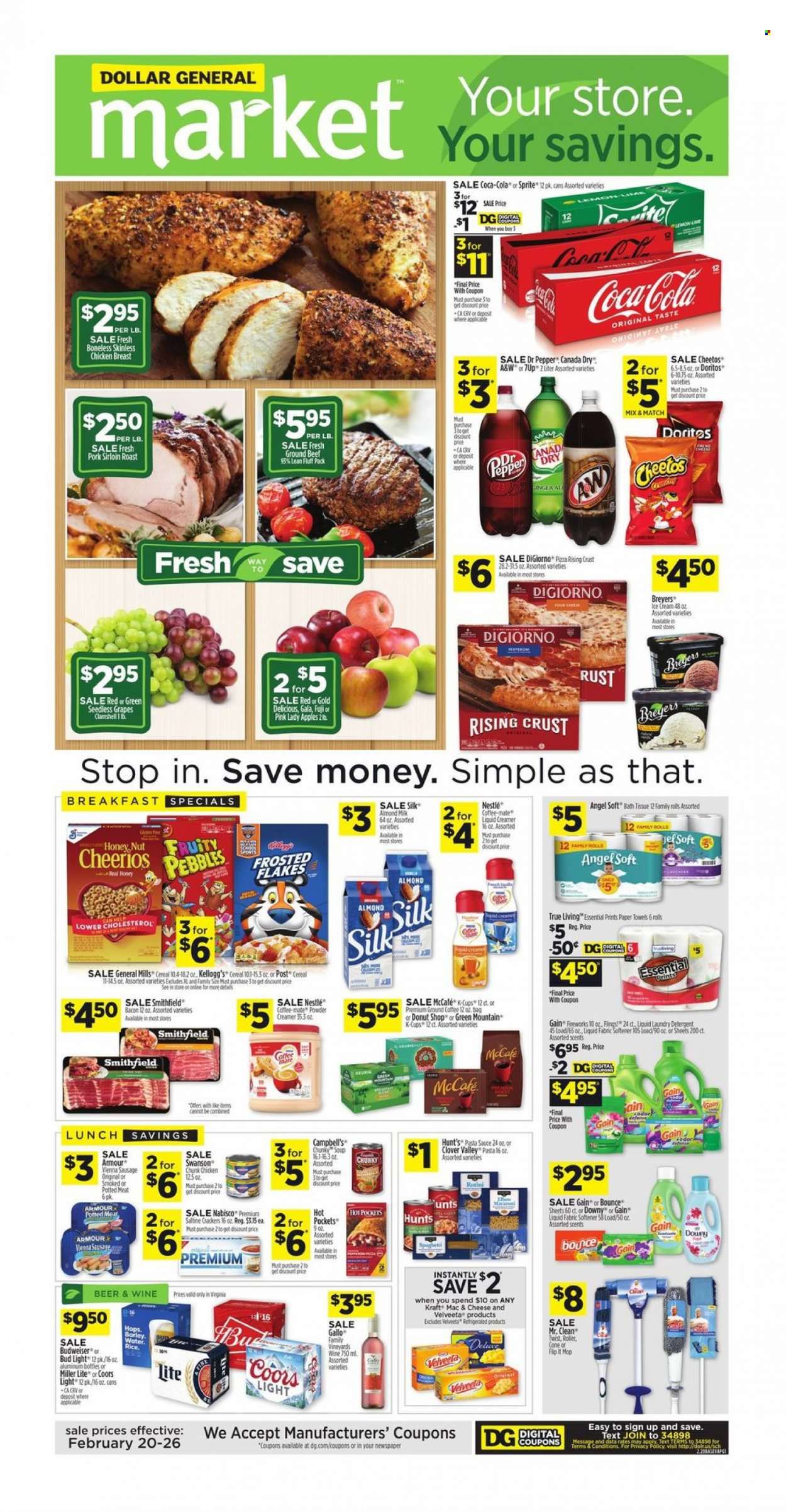 Dollar General (VA) Weekly Ad Flyer February 24 to March 3