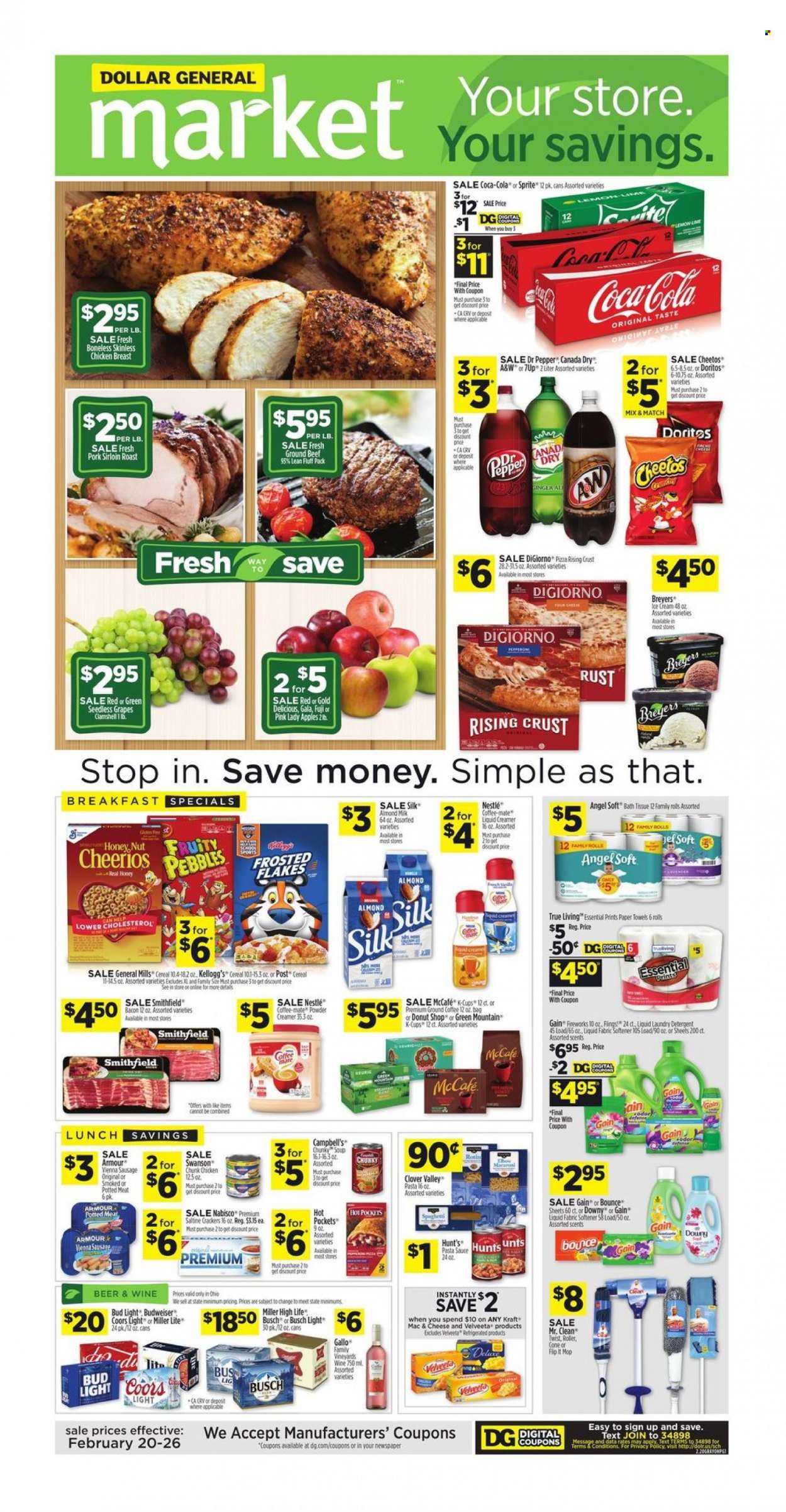 Dollar General (OH) Weekly Ad Flyer February 24 to March 3