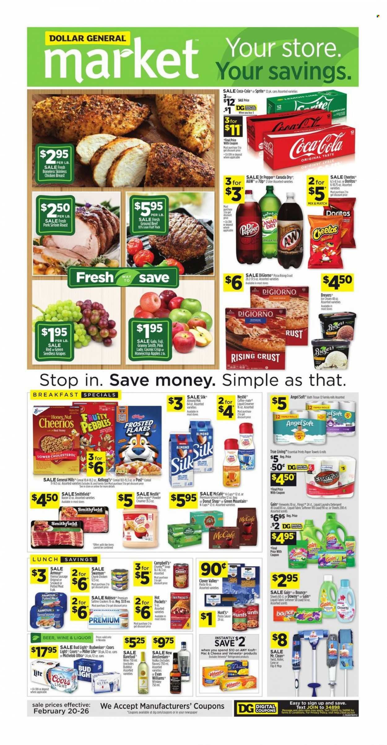 Dollar General (NV) Weekly Ad Flyer February 24 to March 3