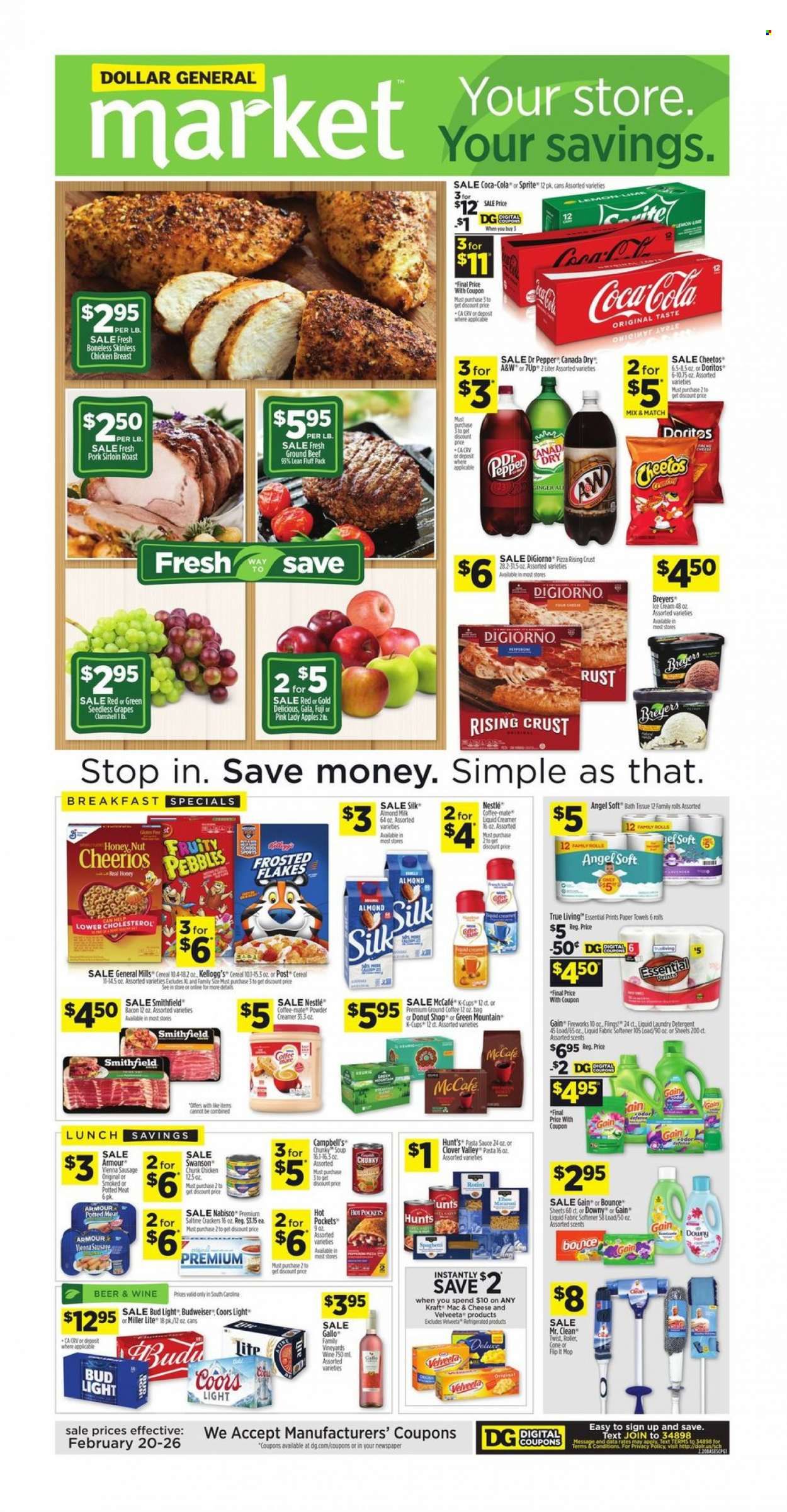 Dollar General (SC) Weekly Ad Flyer February 24 to March 3