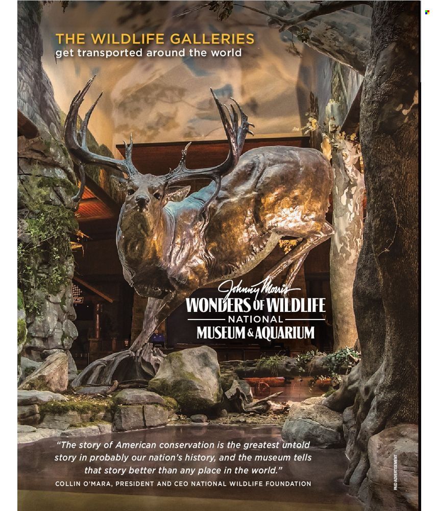 Cabela's Weekly Ad Flyer February 24 to March 3