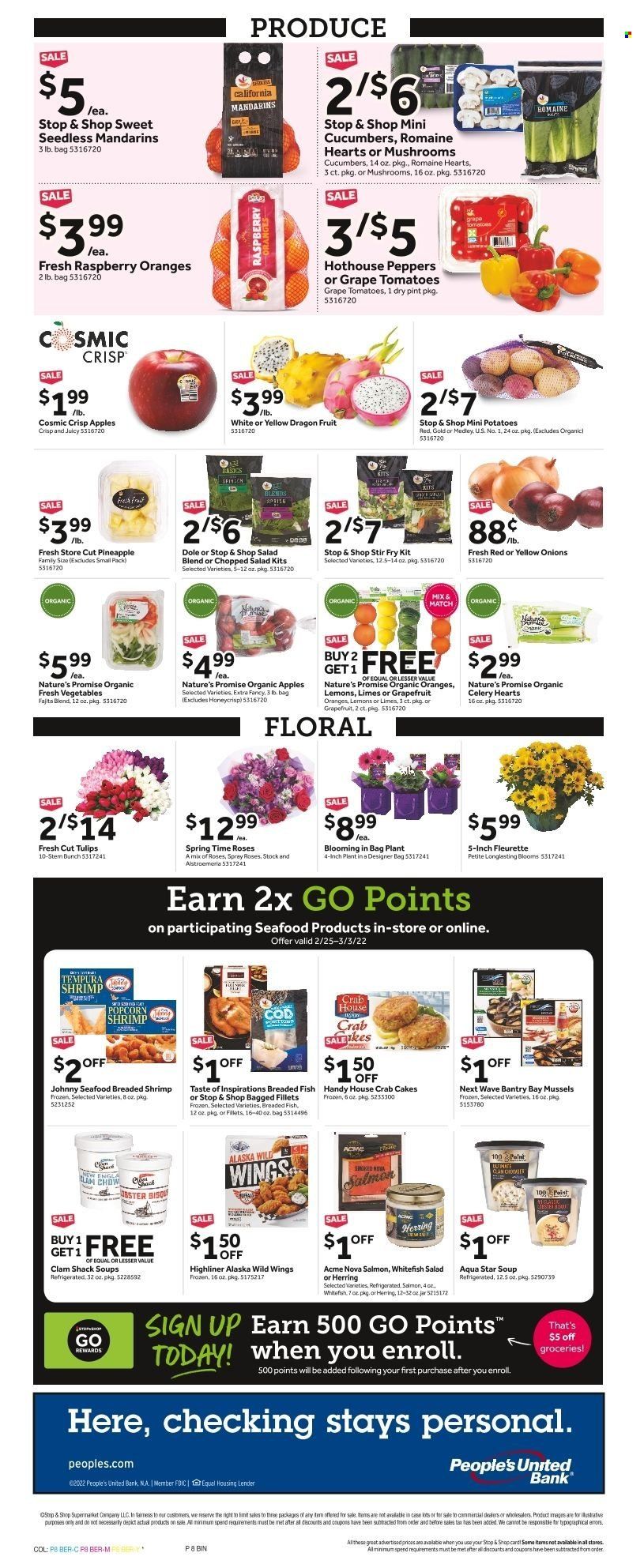 Stop & Shop (CT) Weekly Ad Flyer February 24 to March 3