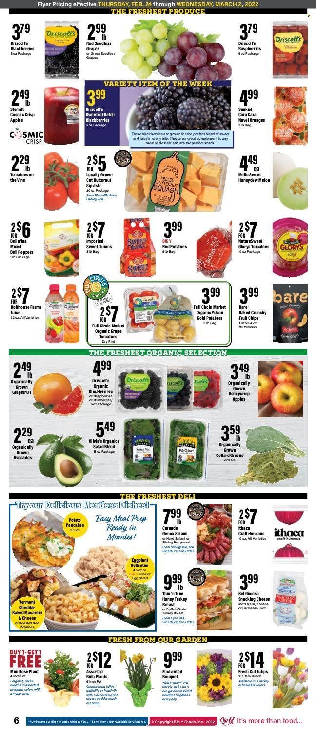 Big Y (MA) Weekly Ad Flyer February 25 to March 4