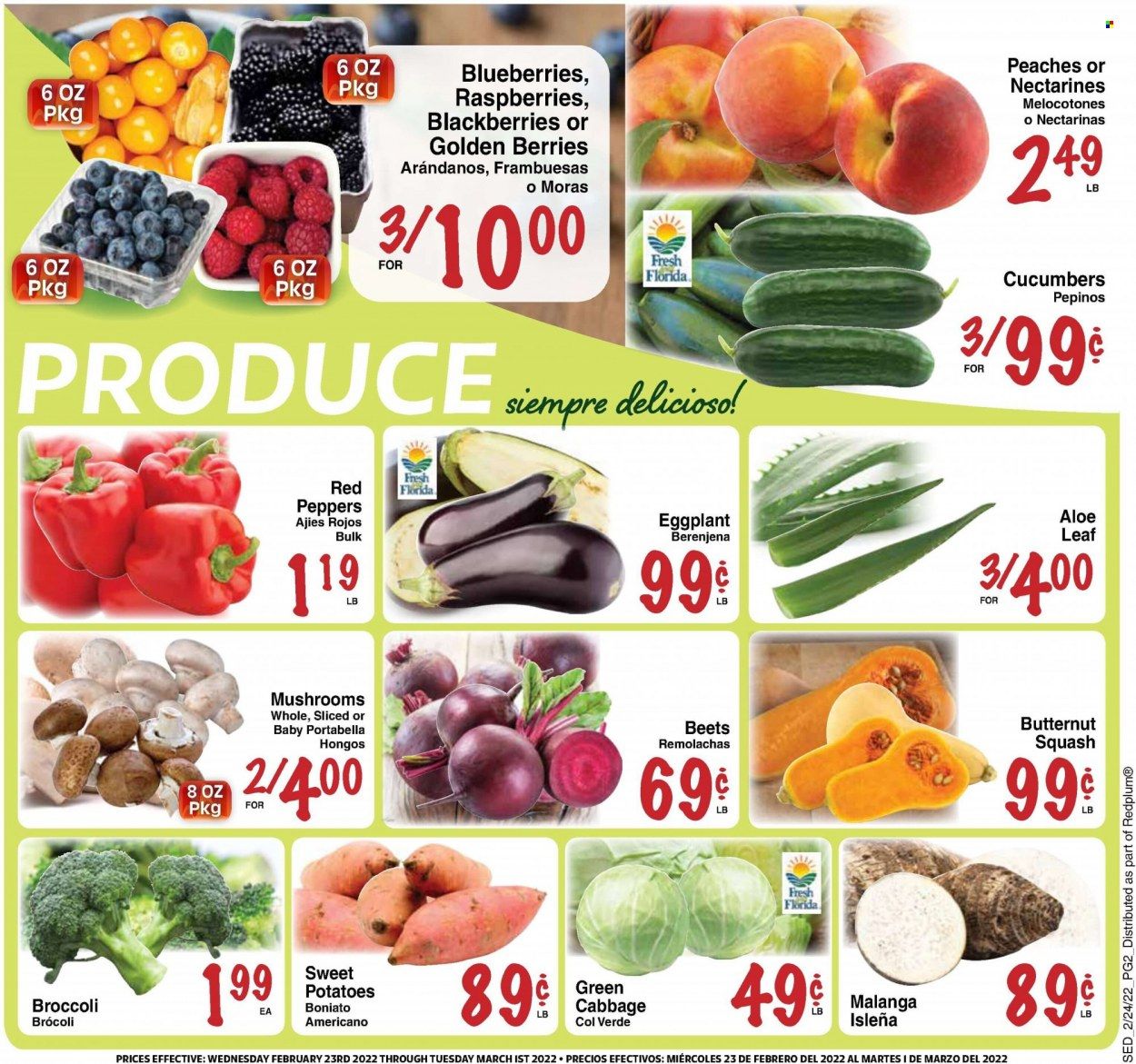 Sedano's (FL) Weekly Ad Flyer February 25 to March 4