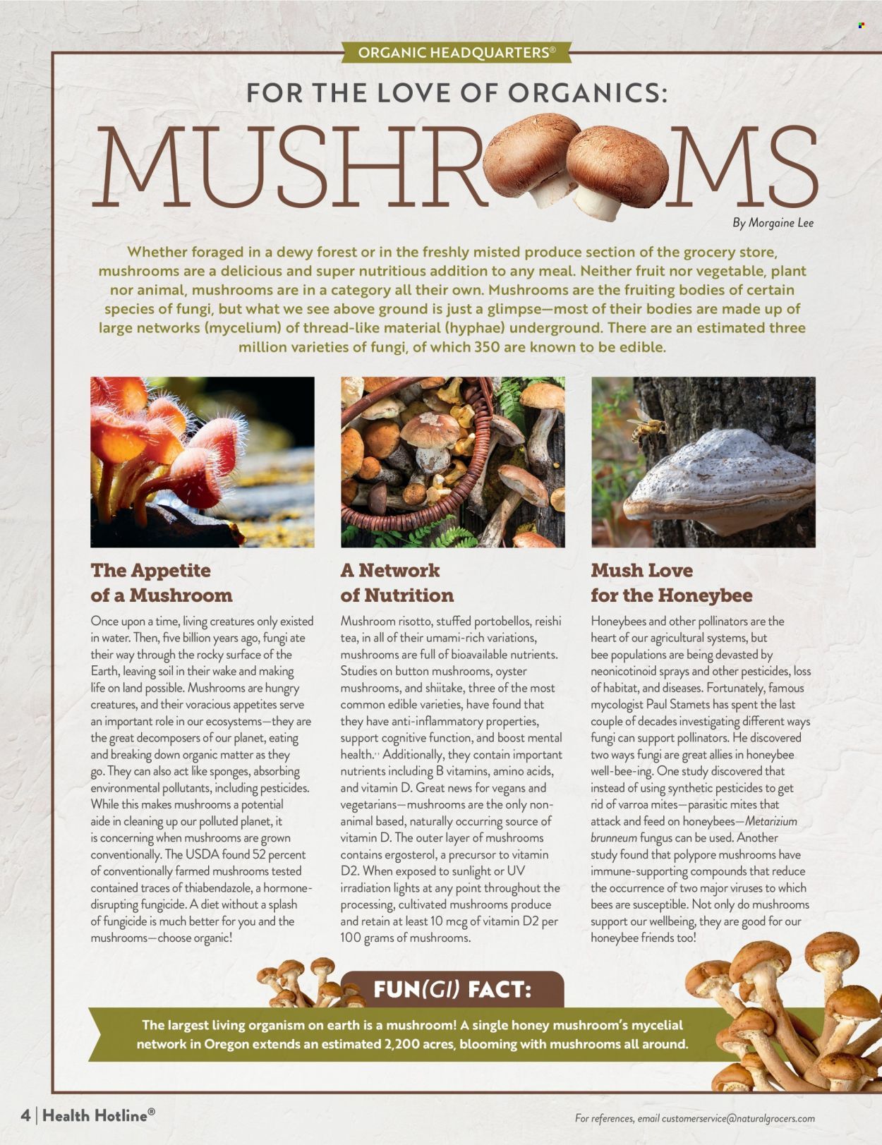 Natural Grocers Weekly Ad Flyer February 25 to March 4