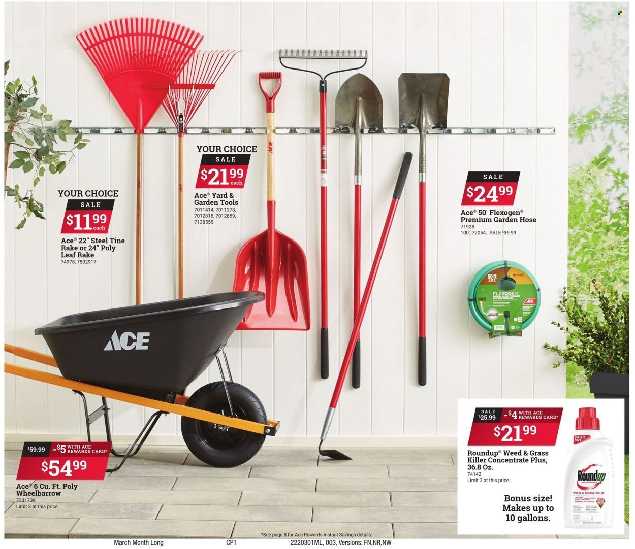 ACE Hardware Weekly Ad Flyer March 1 to March 8