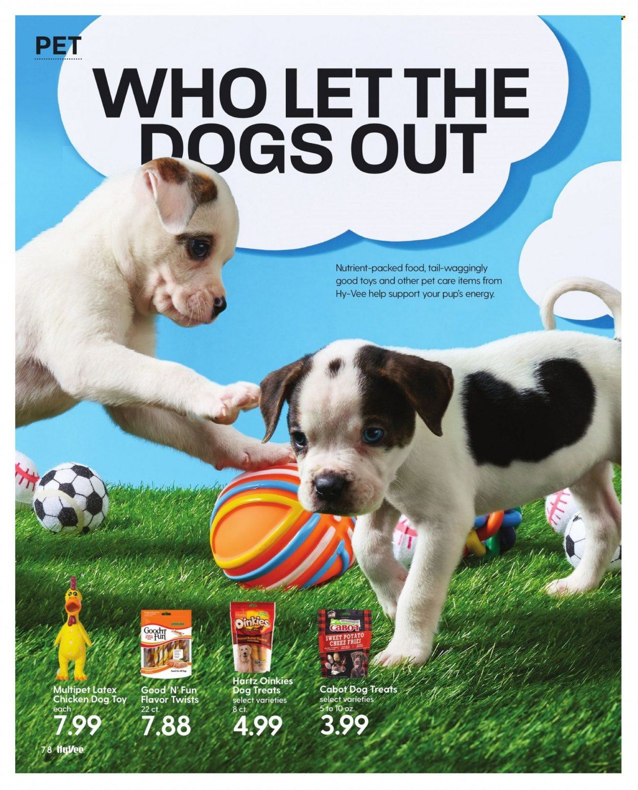 Hy-Vee (IA, IL, MN, MO, SD) Weekly Ad Flyer March 1 to March 8