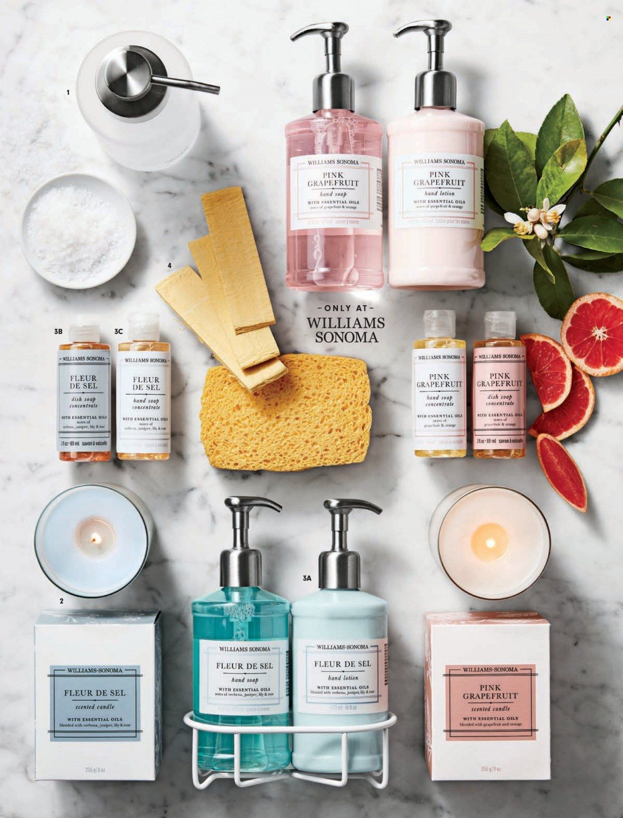 Williams-Sonoma Weekly Ad Flyer March 2 to March 9