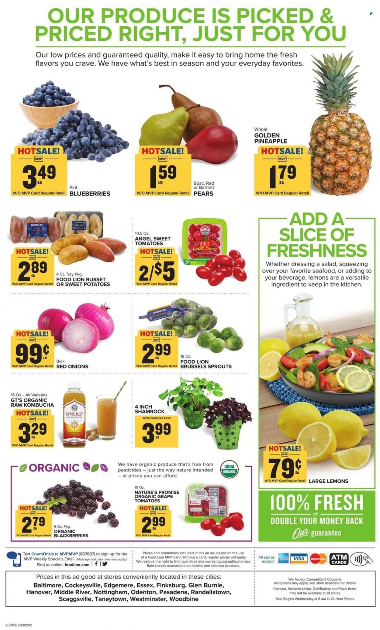 Food Lion (MD) Weekly Ad Flyer March 2 to March 9