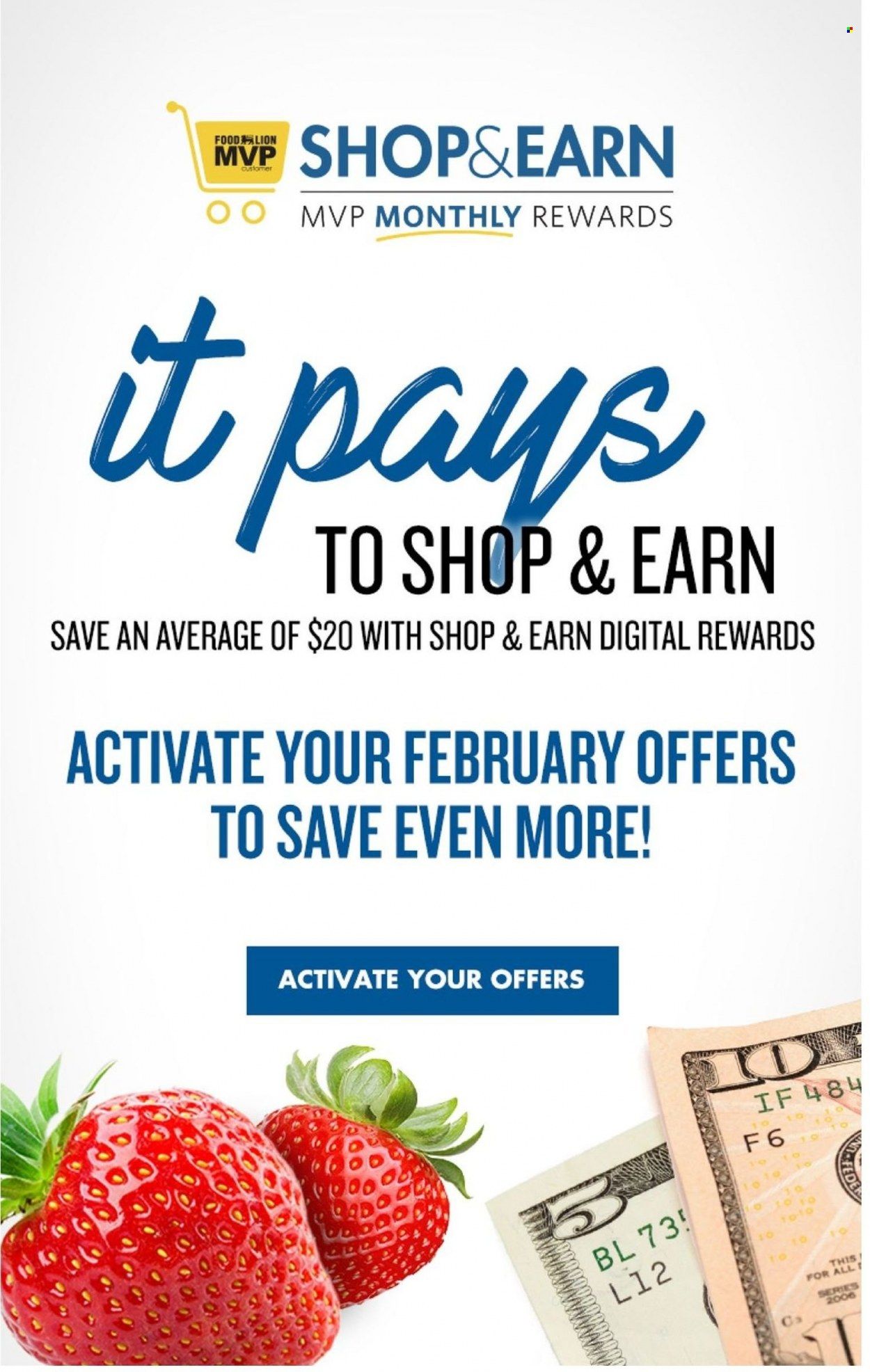 Food Lion (NC) Weekly Ad Flyer March 2 to March 9