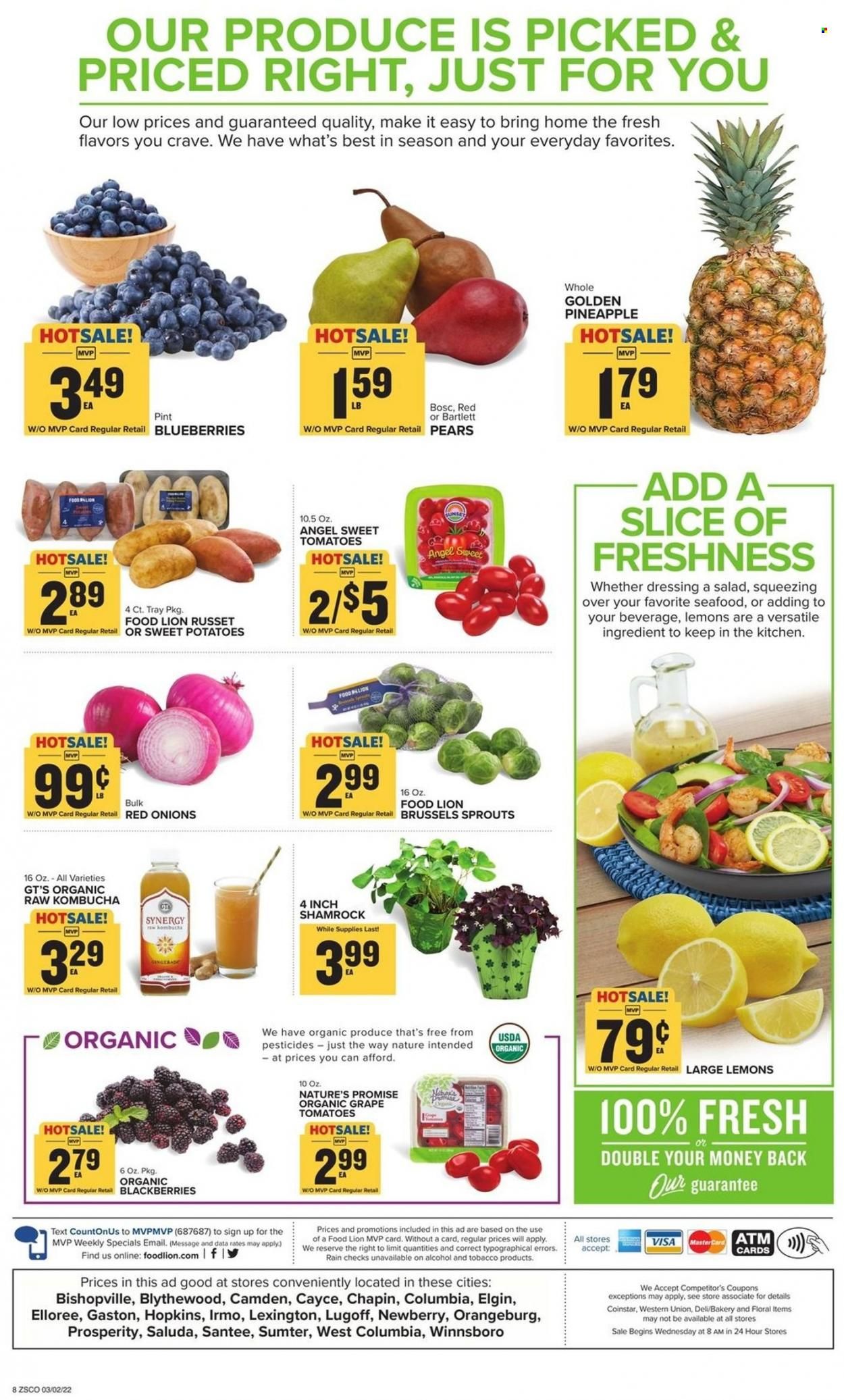 Food Lion (SC) Weekly Ad Flyer March 2 to March 9