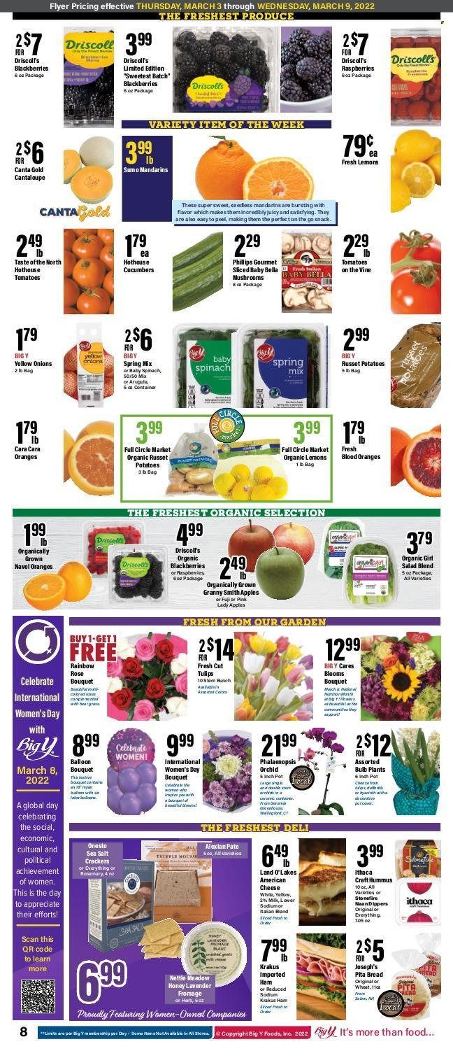 Big Y (CT) Weekly Ad Flyer March 2 to March 9