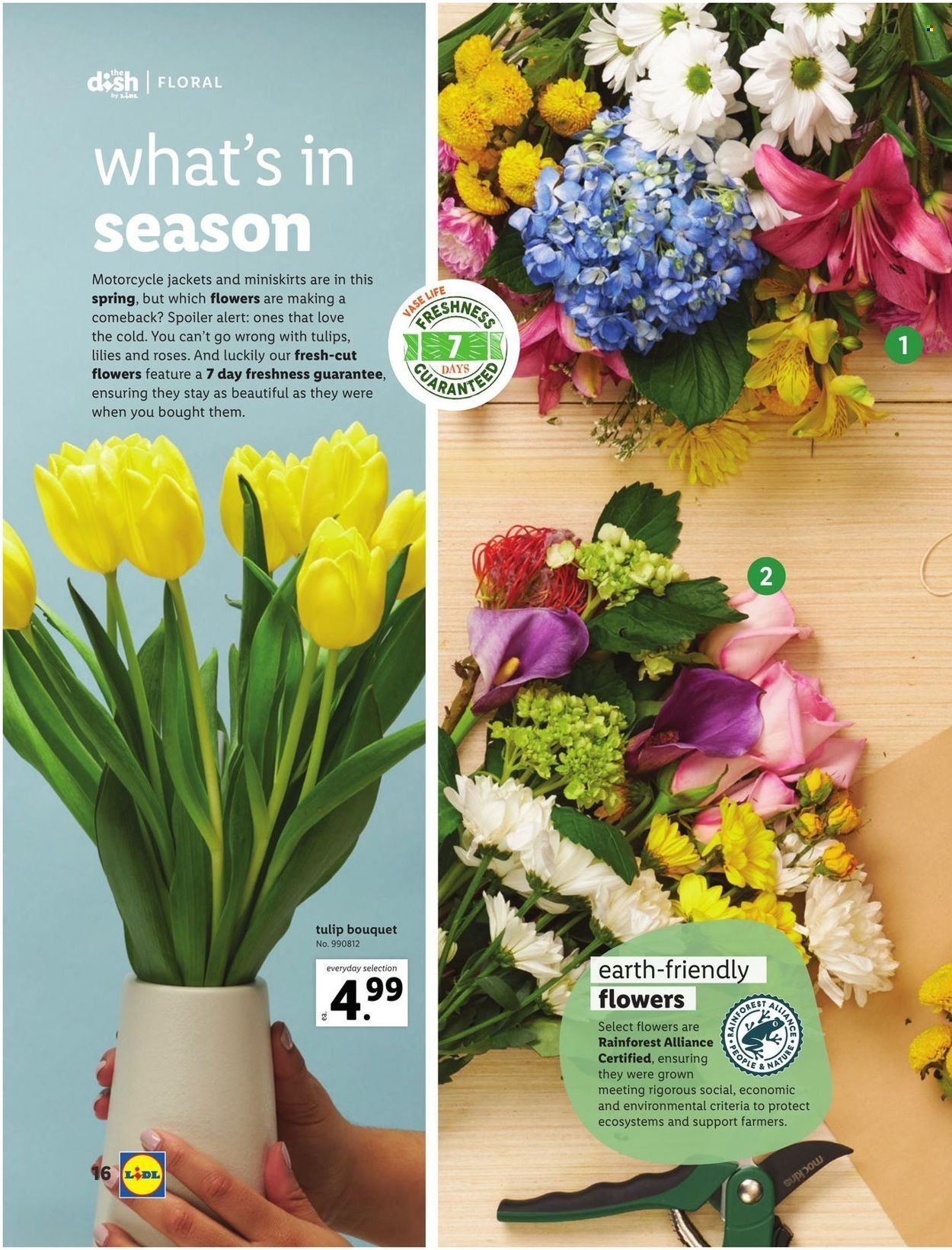 Lidl (GA, MD, NC, NJ, PA, SC, VA) Weekly Ad Flyer March 3 to March 10