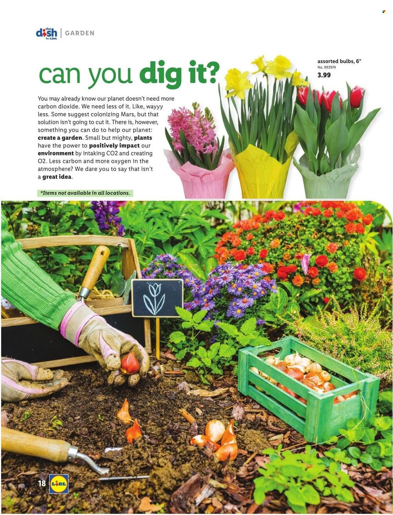 Lidl (GA, MD, NC, NJ, PA, SC, VA) Weekly Ad Flyer March 3 to March 10