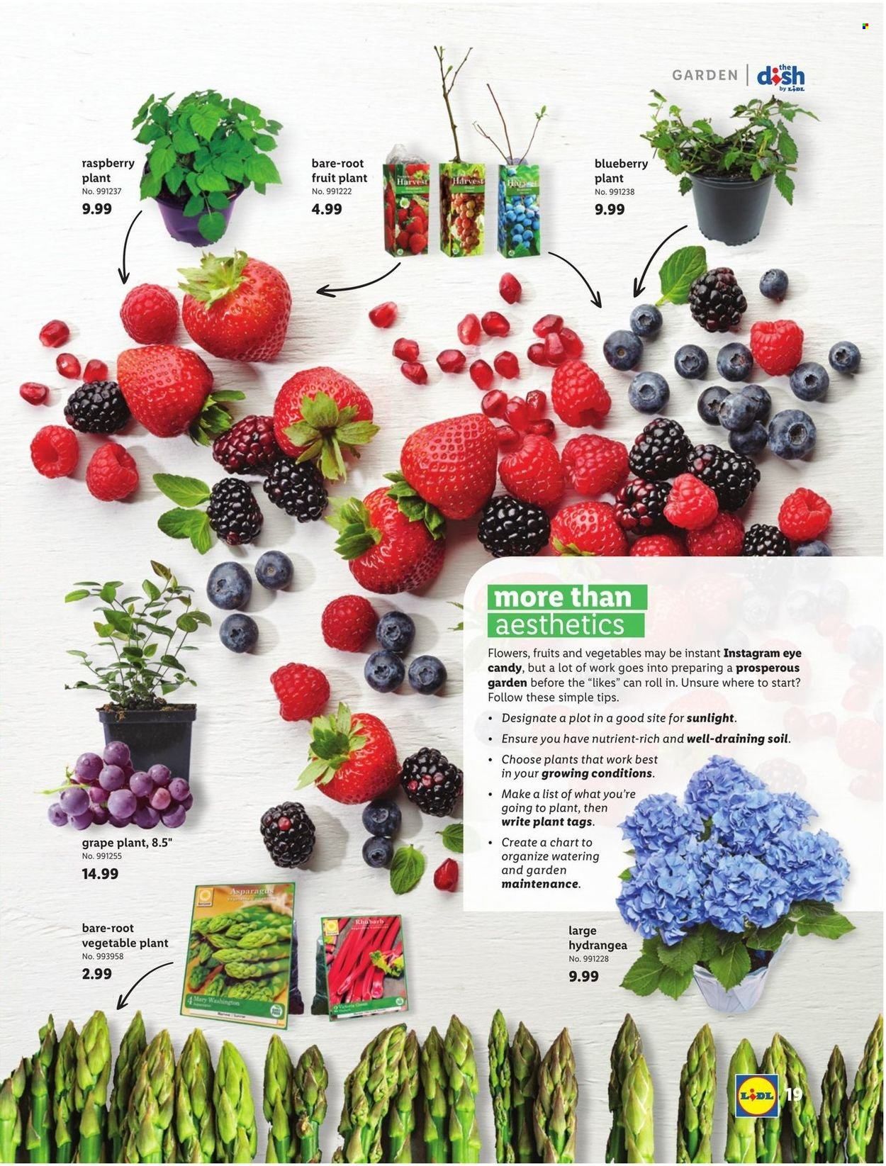 Lidl (GA, MD, NC, NJ, PA, SC, VA) Weekly Ad Flyer March 3 to March 10