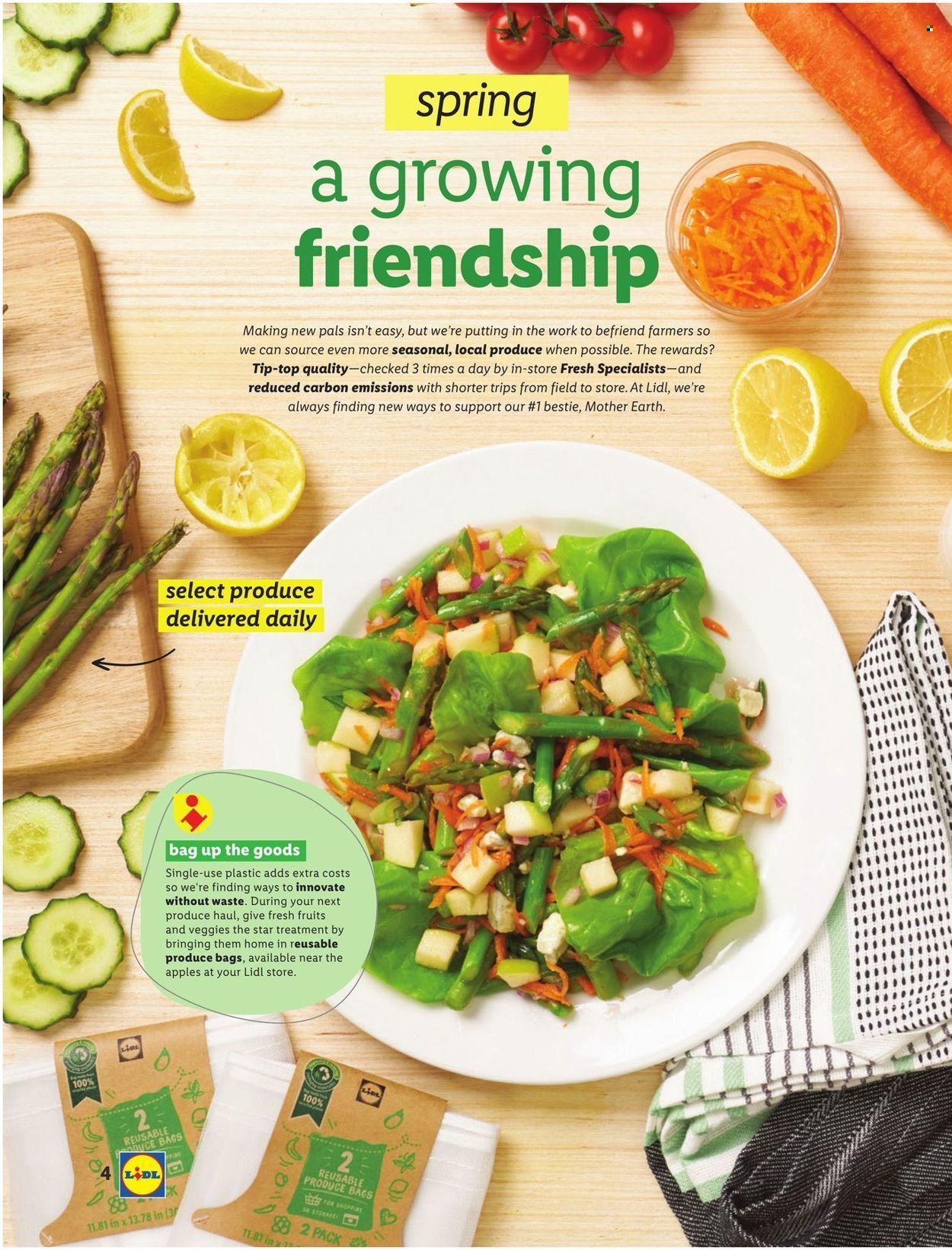 Lidl (GA, MD, NC, NJ, PA, SC, VA) Weekly Ad Flyer March 3 to March 10