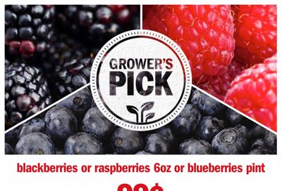 Meijer (IL, IN, KY, MI, OH, WI) Weekly Ad Flyer March 4 to March 11