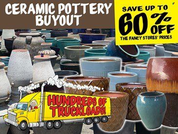 Ollie's Bargain Outlet Weekly Ad Flyer March 5 to March 12