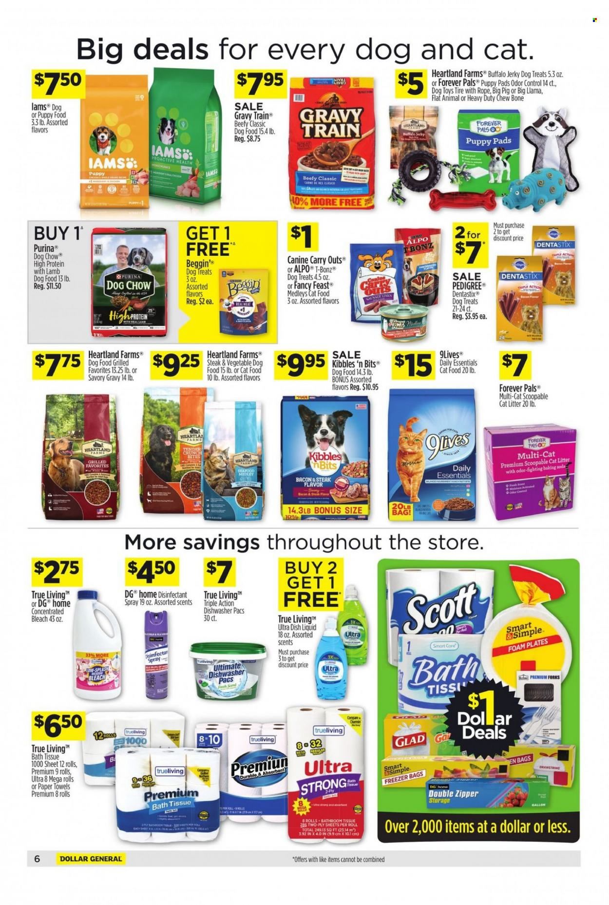 Dollar General Weekly Ad Flyer March 6 to March 13