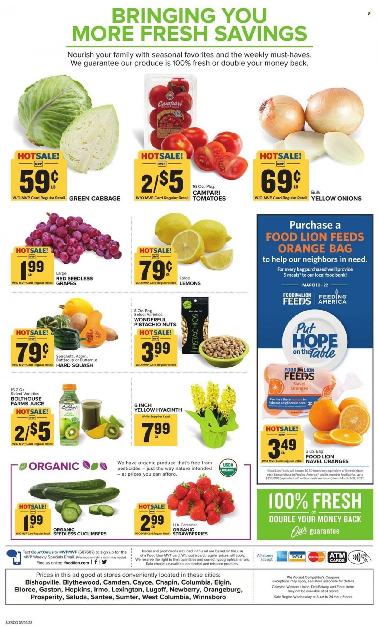 Food Lion (SC) Weekly Ad Flyer March 10 to March 17