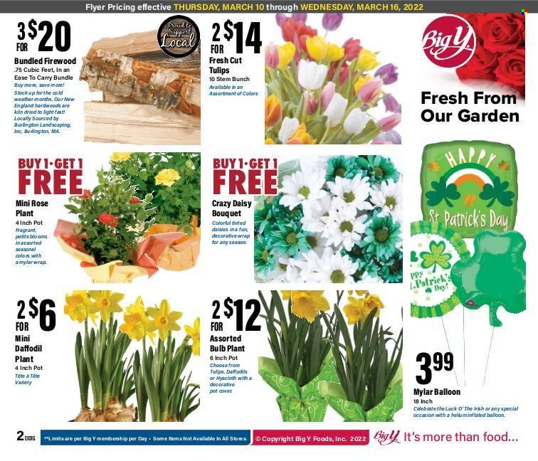 Big Y (MA) Weekly Ad Flyer March 10 to March 17