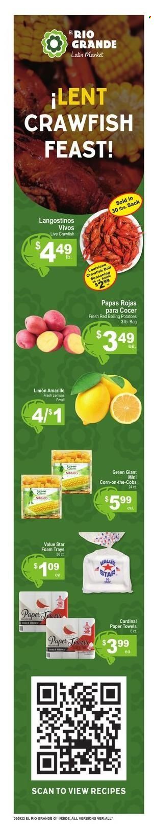 El Rio Grande (TX) Weekly Ad Flyer March 10 to March 17