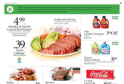Publix (AL, FL, GA, NC, SC, TN) Weekly Ad Flyer March 10 to March 17