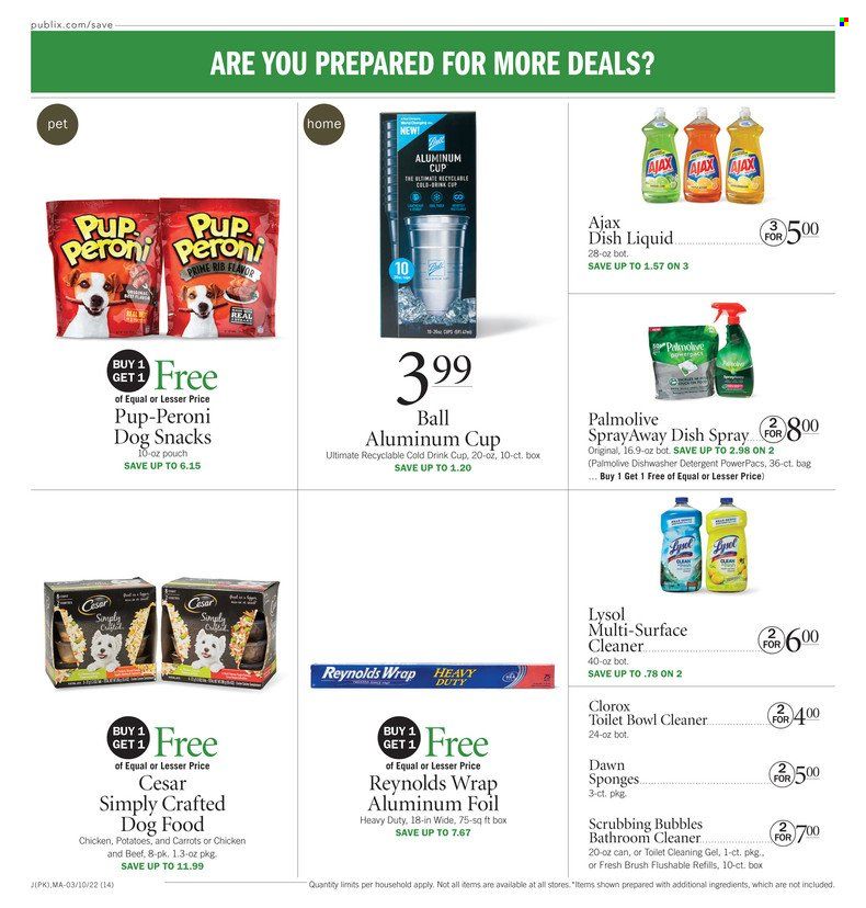 Publix (AL, FL, GA, NC, SC, TN) Weekly Ad Flyer March 10 to March 17