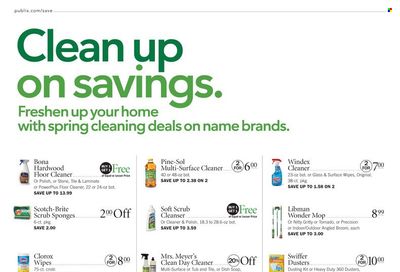 Publix (AL, FL, GA, NC, SC, TN) Weekly Ad Flyer March 10 to March 17