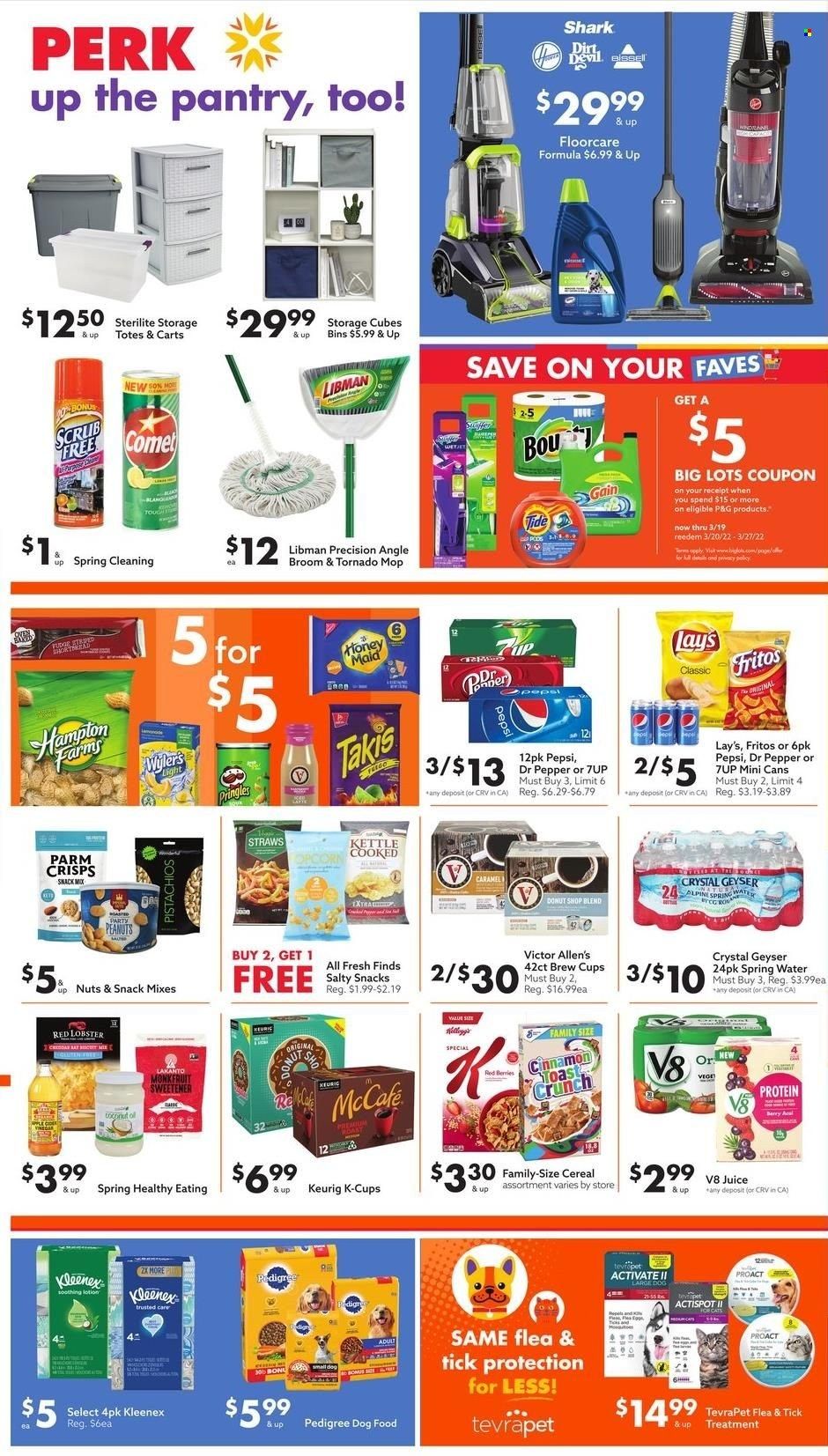 Big Lots Weekly Ad Flyer March 10 to March 17