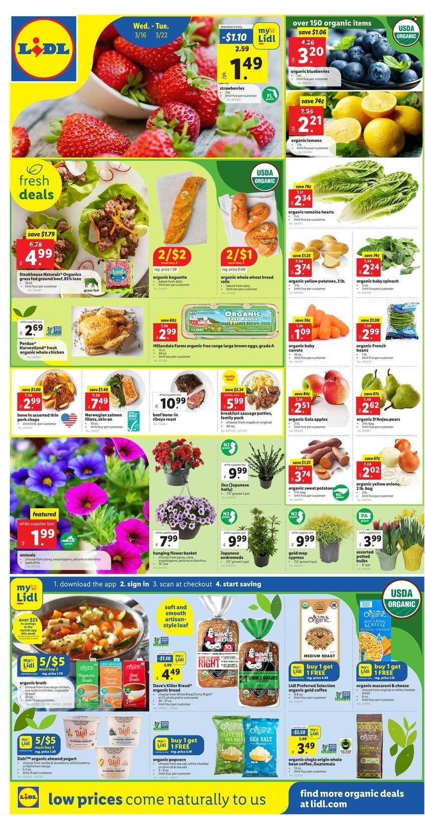 Lidl (GA, MD, NC, NJ, PA, SC, VA) Weekly Ad Flyer March 14 to March 21