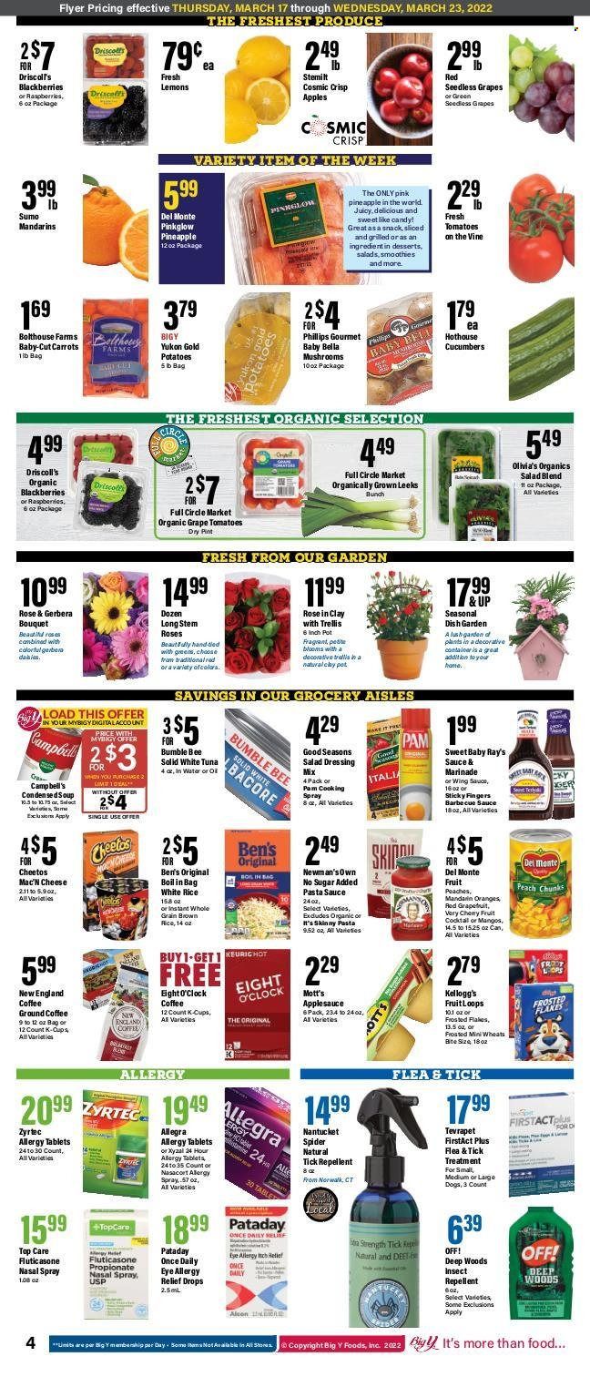 Big Y (MA) Weekly Ad Flyer March 16 to March 23