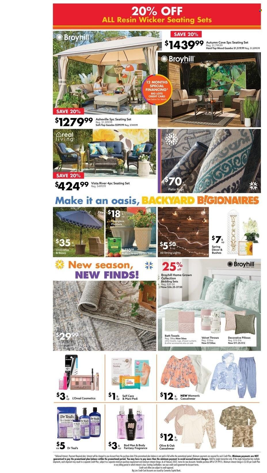 Big Lots Weekly Ad Flyer March 17 to March 24