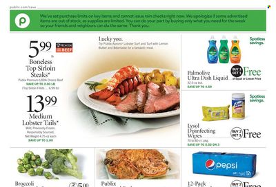 Publix (AL, FL, GA, NC, SC, TN) Weekly Ad Flyer March 17 to March 24