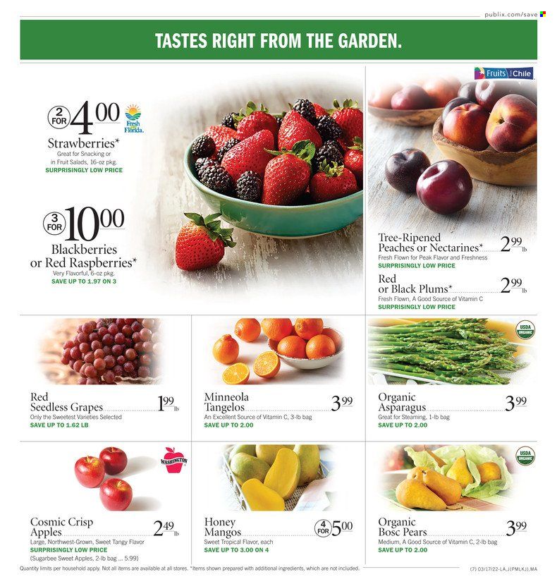 Publix (AL, FL, GA, NC, SC, TN) Weekly Ad Flyer March 17 to March 24