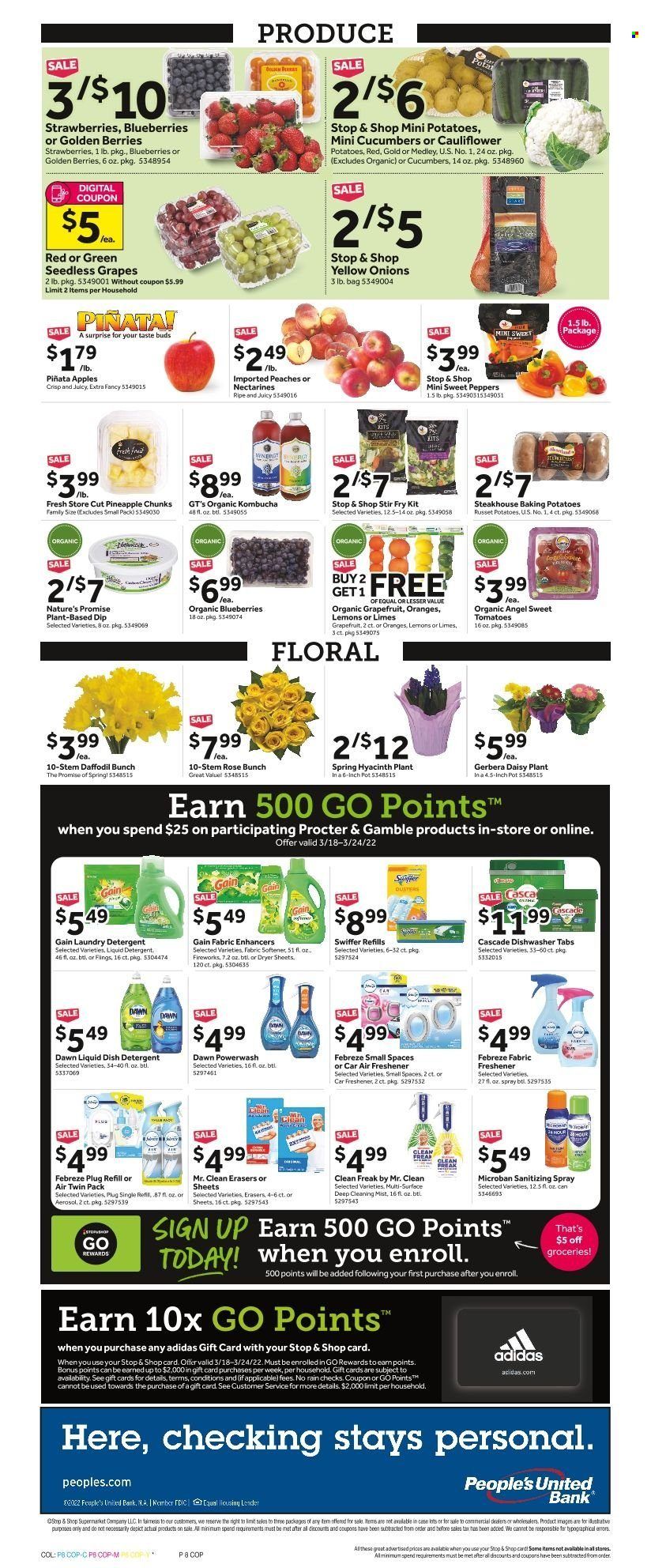Stop & Shop (NY) Weekly Ad Flyer March 17 to March 24