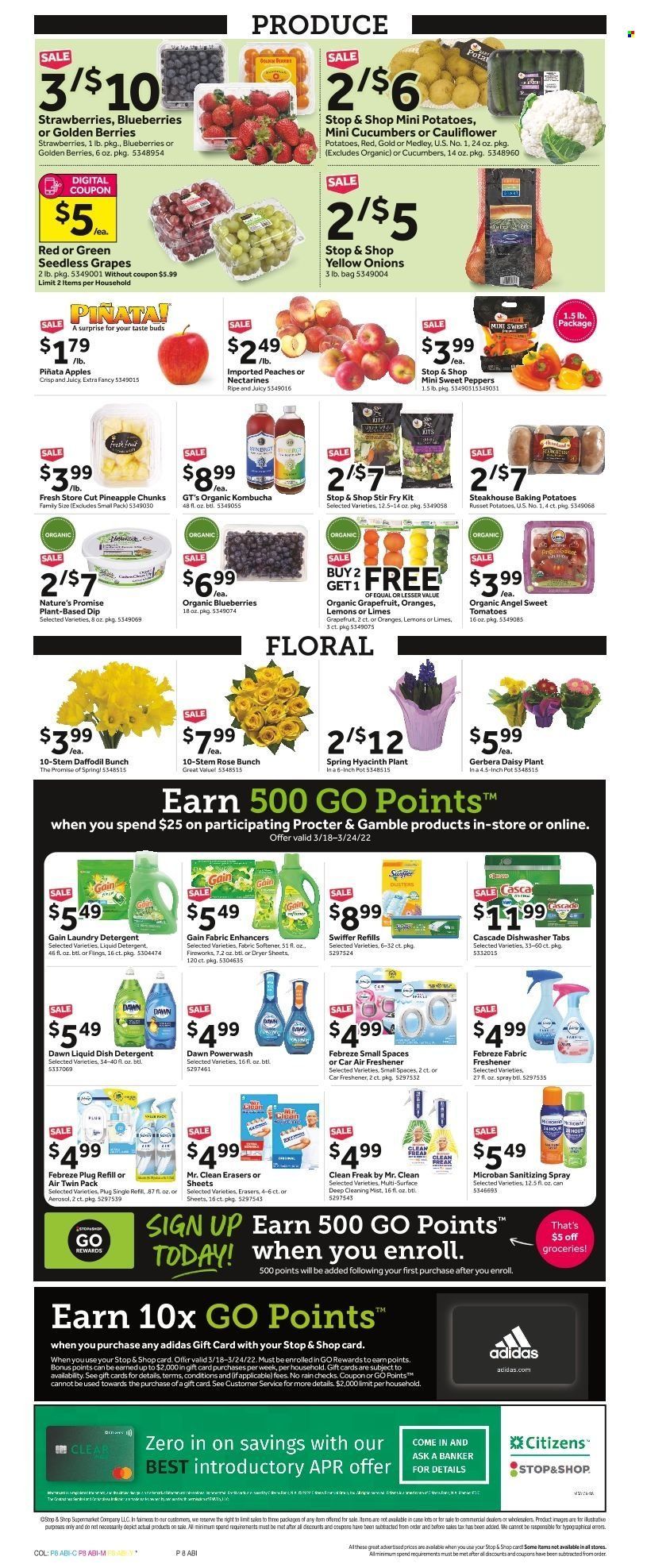 Stop & Shop (RI) Weekly Ad Flyer March 17 to March 24