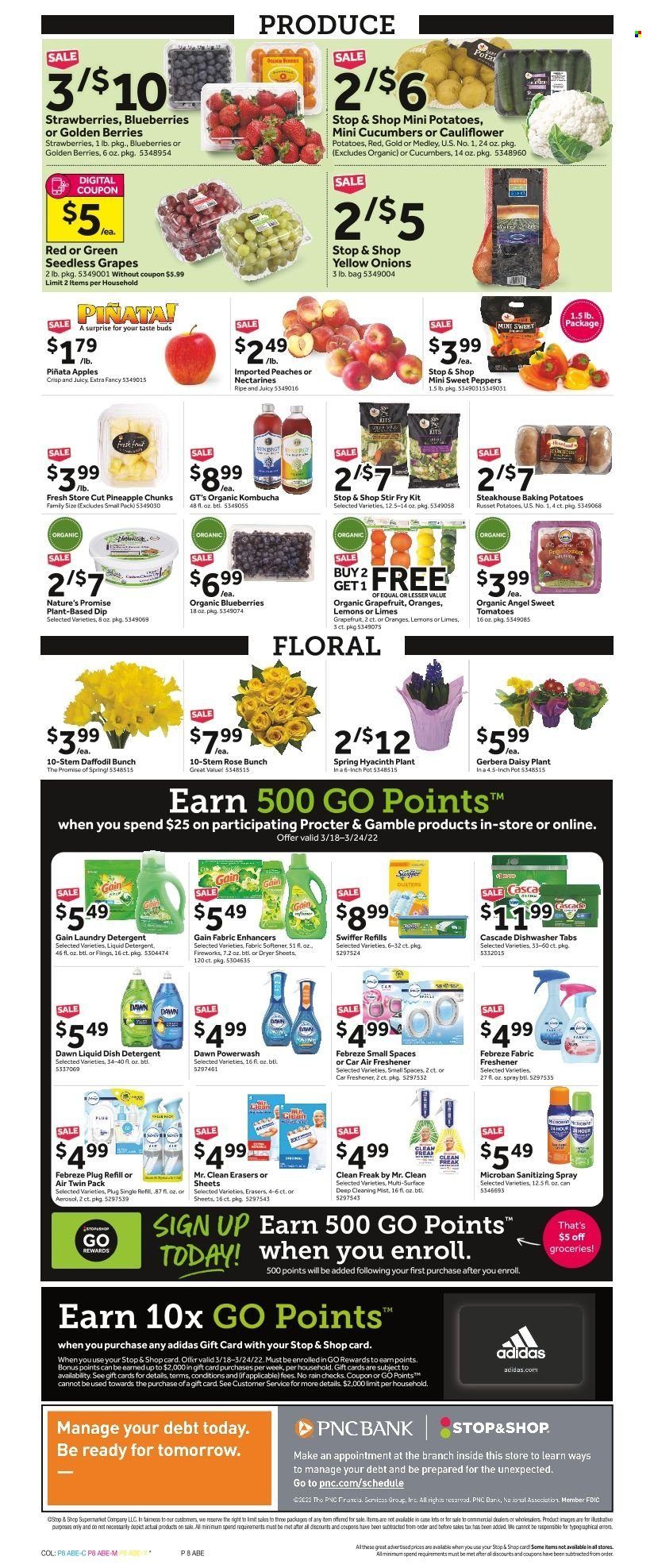 Stop & Shop (NJ) Weekly Ad Flyer March 17 to March 24