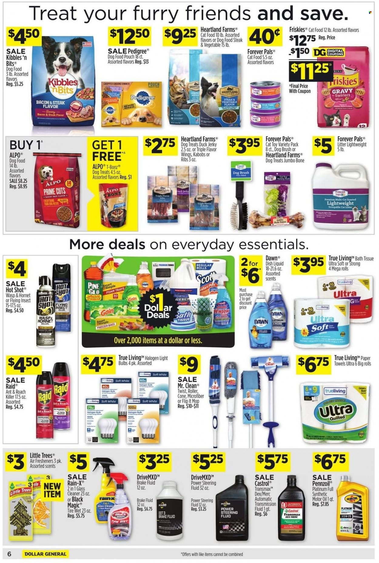 Dollar General Weekly Ad Flyer March 21 to March 28