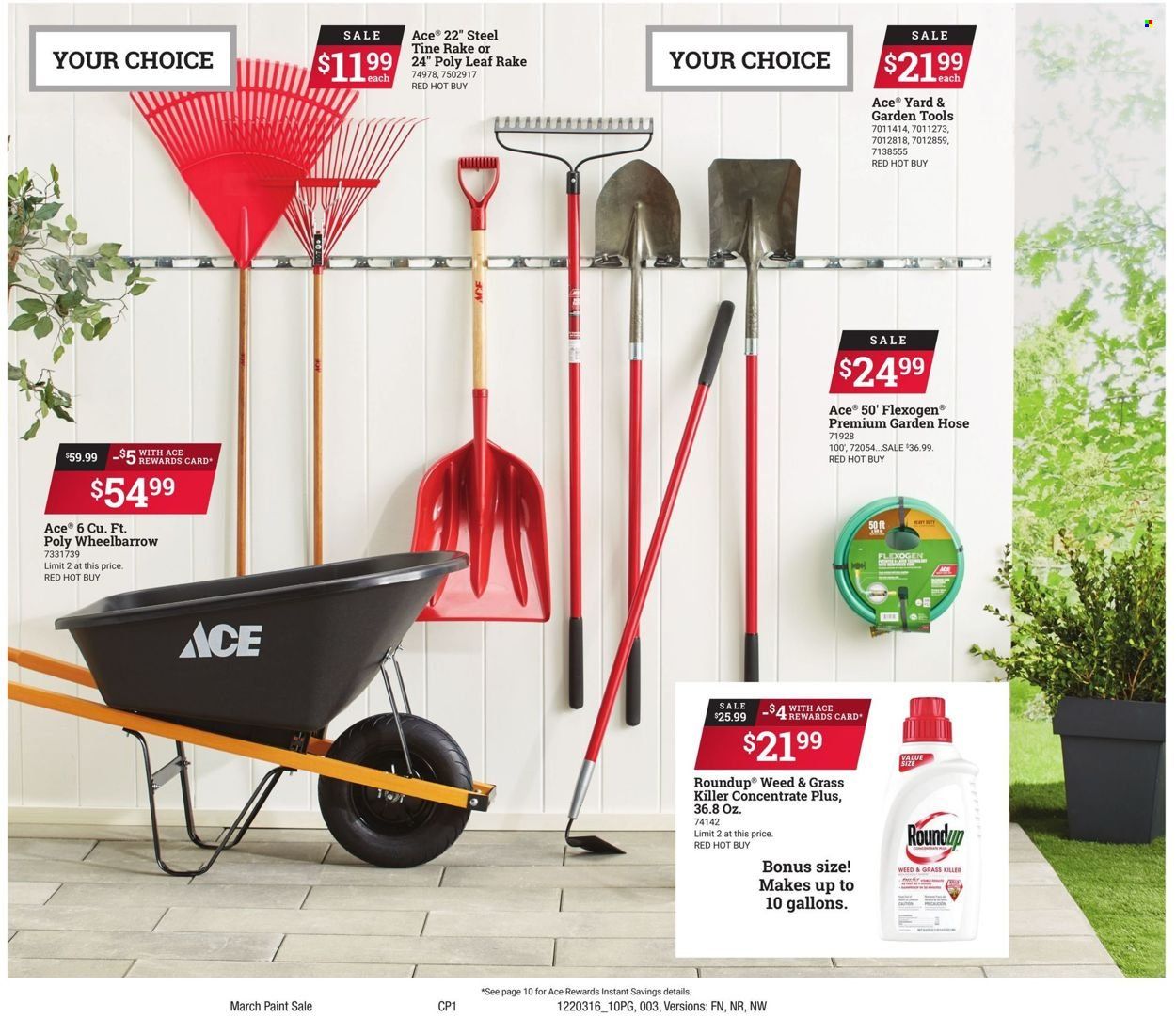 ACE Hardware Weekly Ad Flyer March 21 to March 28