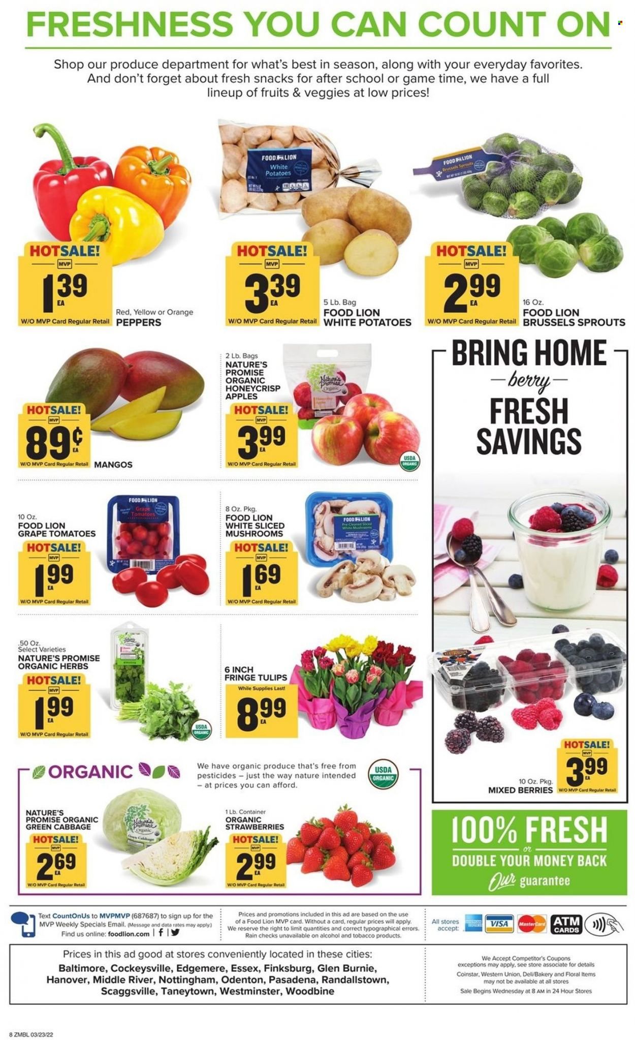 Food Lion (MD) Weekly Ad Flyer March 24 to March 31
