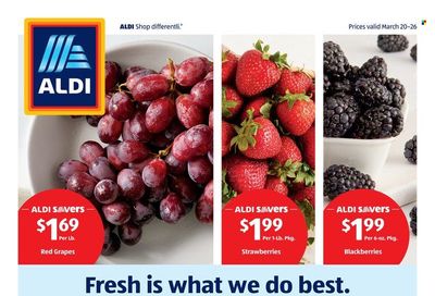 ALDI (NY) Weekly Ad Flyer March 24 to March 31