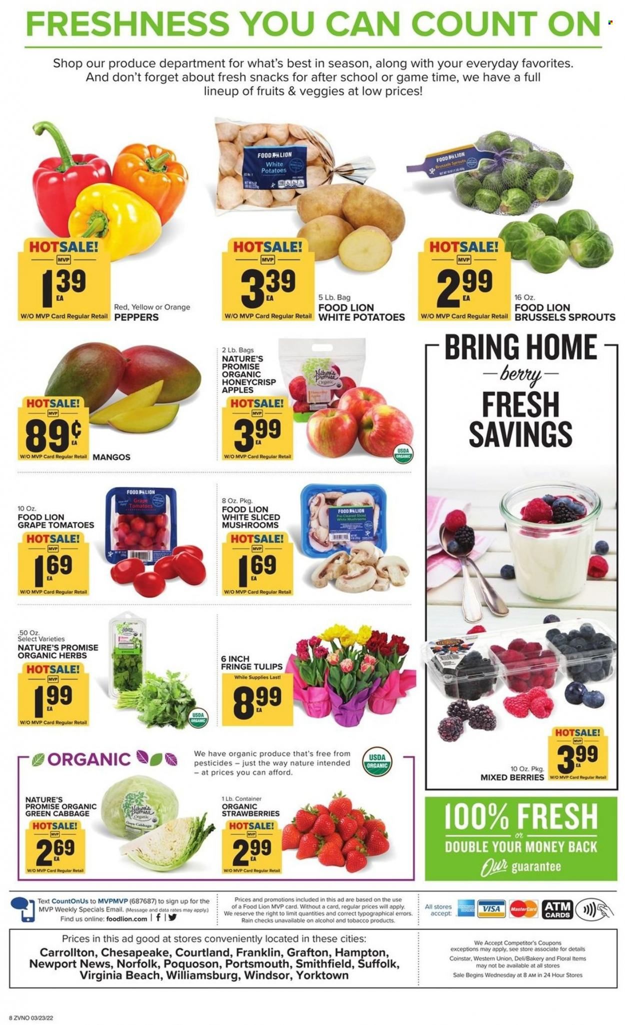 Food Lion (VA) Weekly Ad Flyer March 24 to March 31