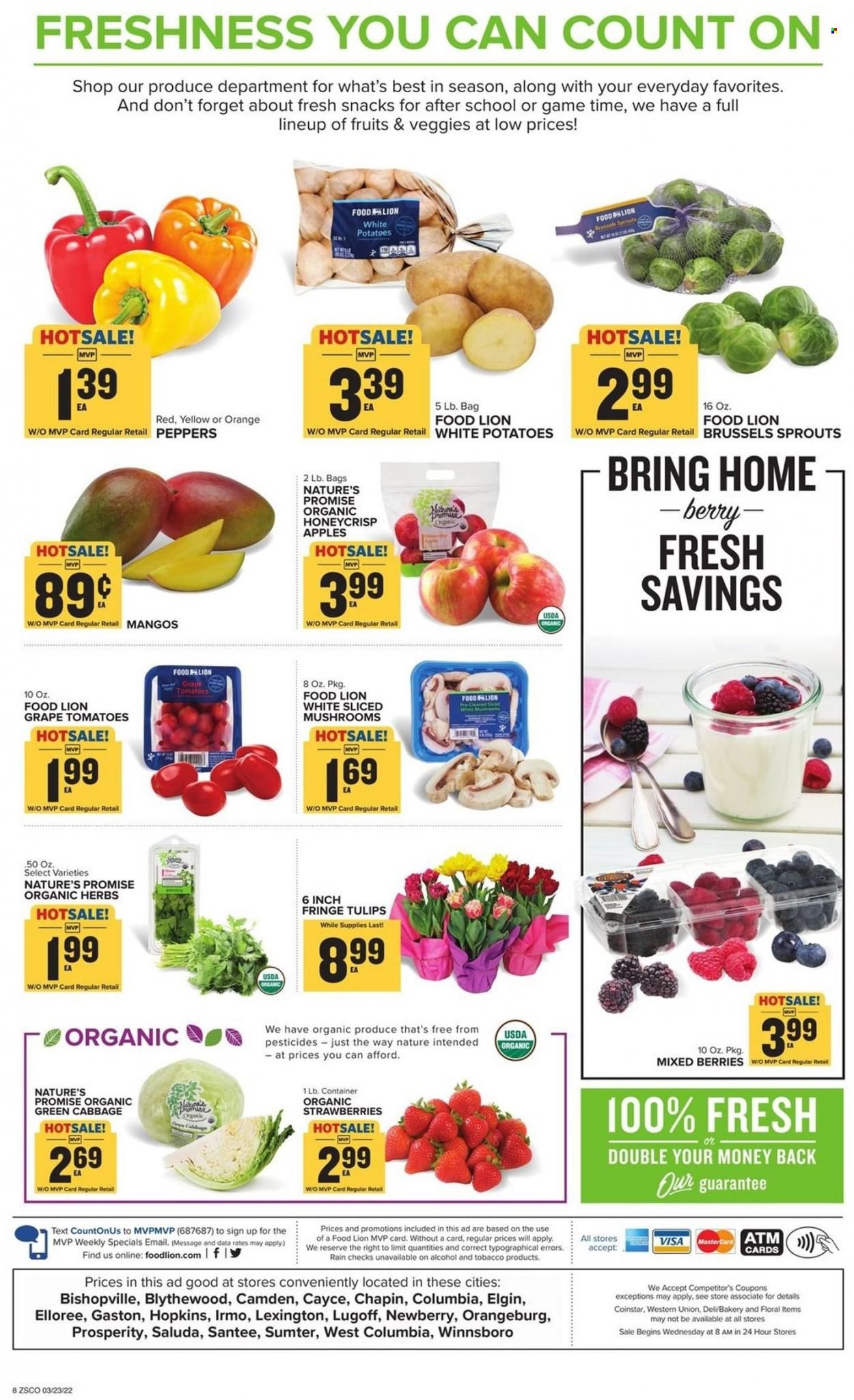 Food Lion (SC) Weekly Ad Flyer March 24 to March 31